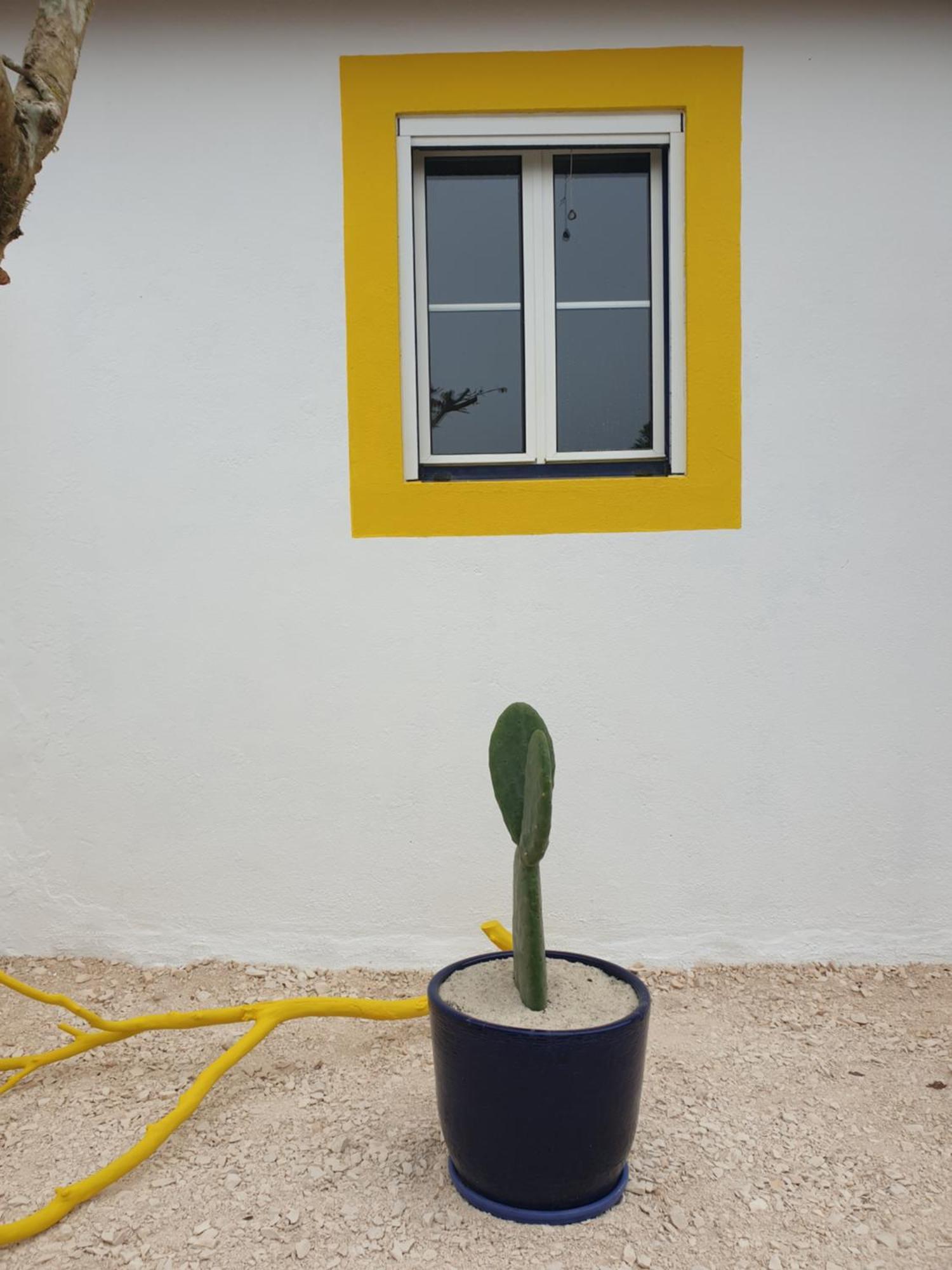 Sondela Self Catering Domek alpejski