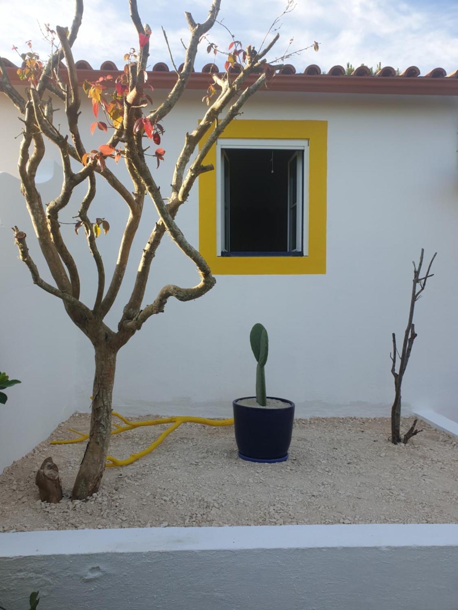 Domek alpejski Sondela Self Catering *