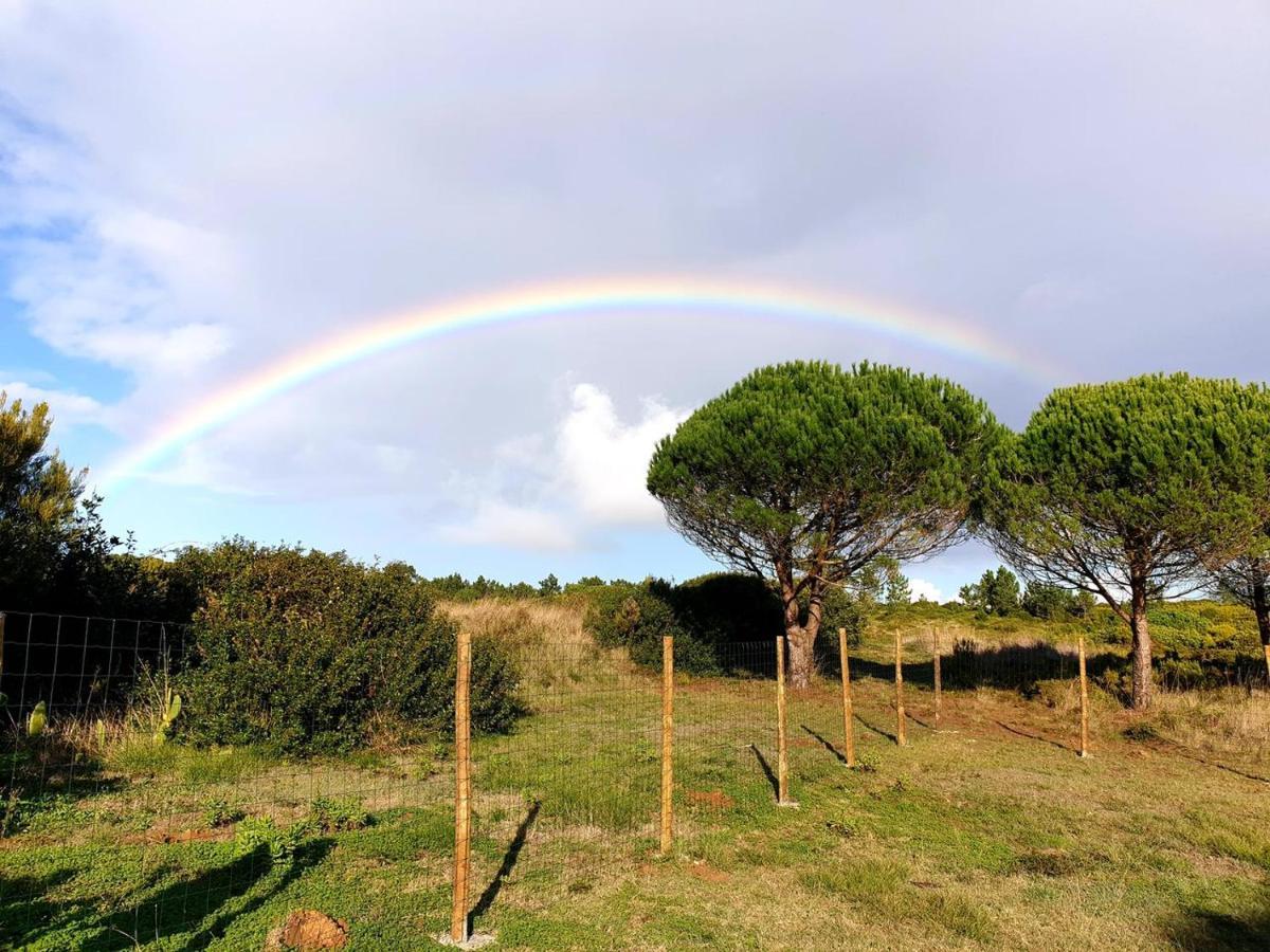 Chalet Sondela Self Catering *