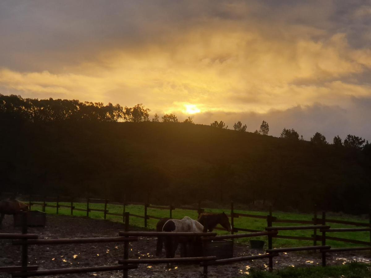 Sondela Self Catering Chalet