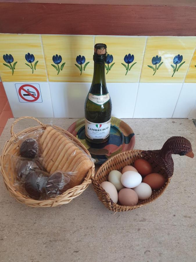 Chalet Sondela Self Catering *