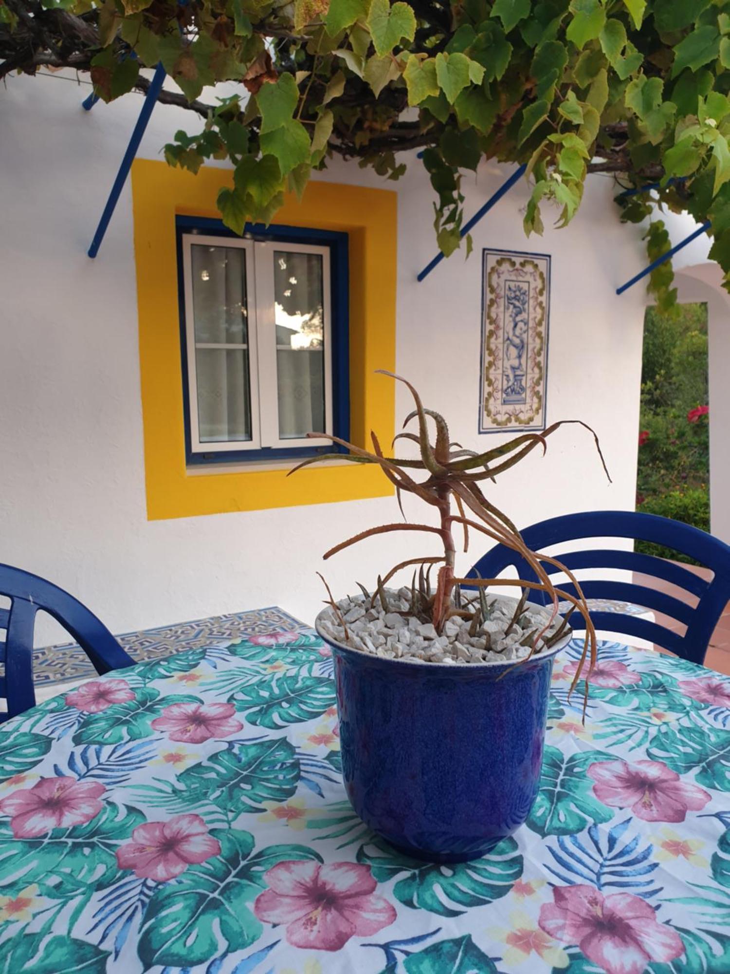 Chalet Sondela Self Catering