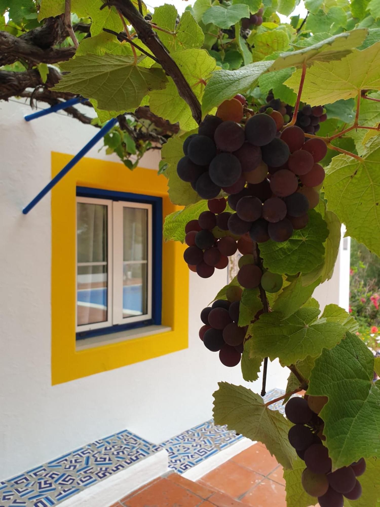Chalet Sondela Self Catering *