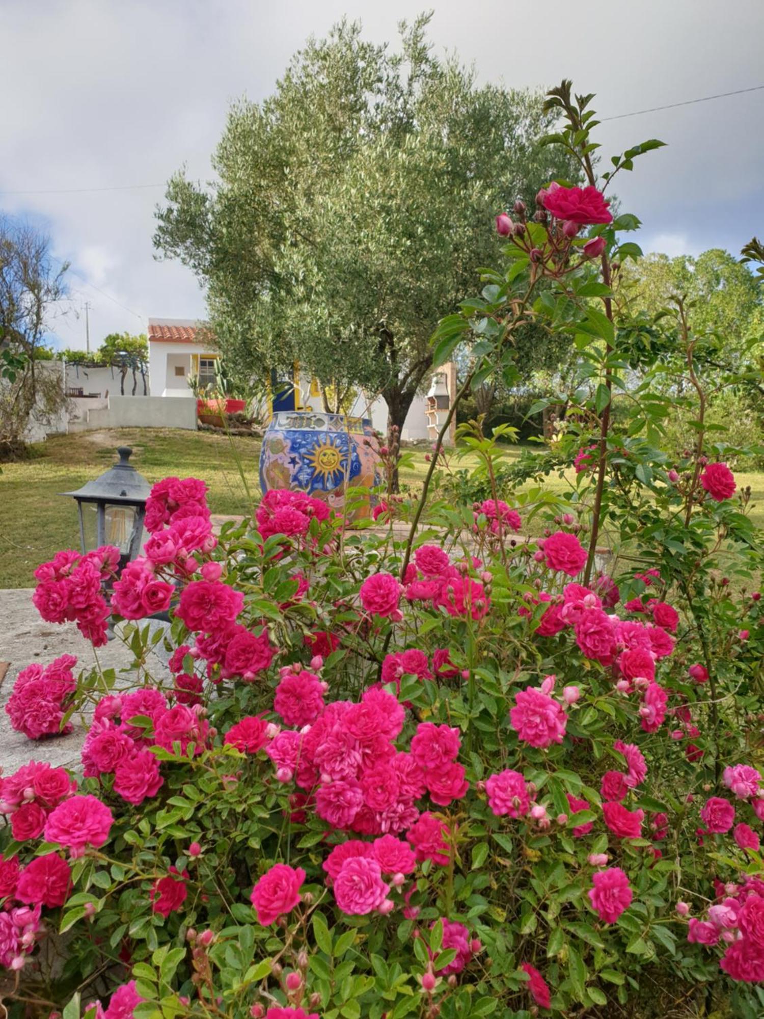 Chalet Sondela Self Catering *