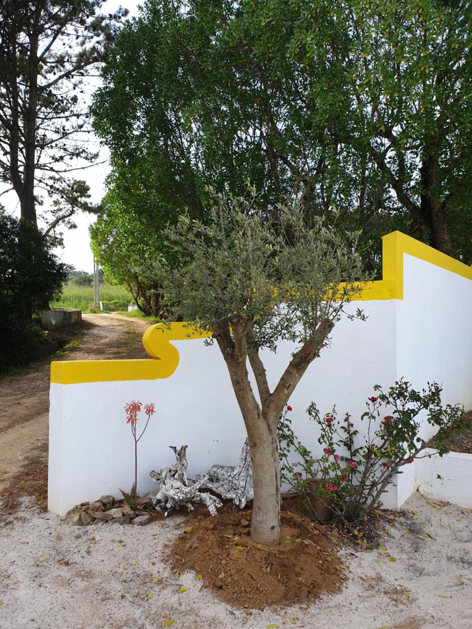 Sondela Self Catering São Martinho do Porto