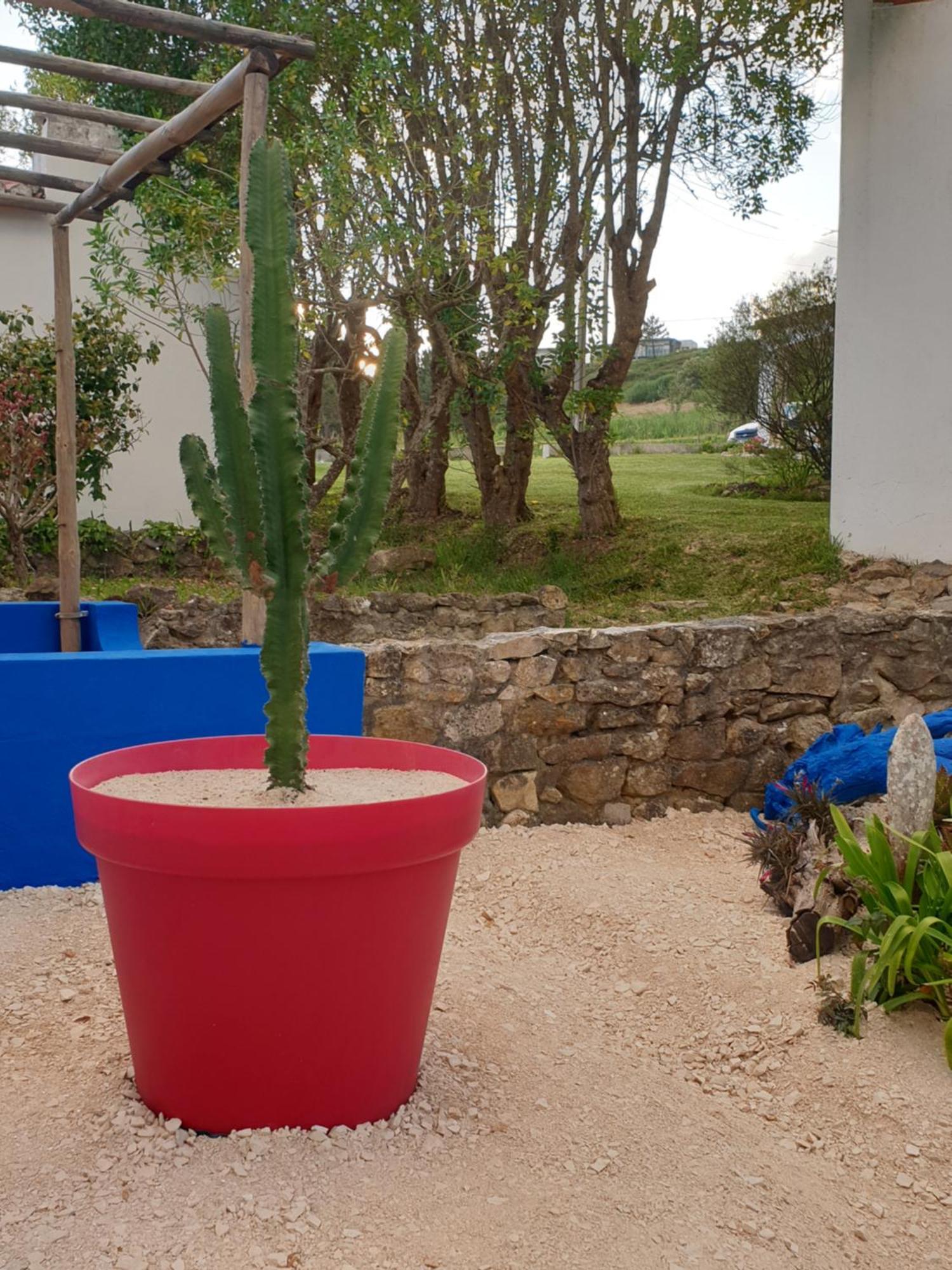 Sondela Self Catering * São Martinho do Porto